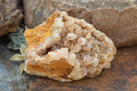 Natural Golden Limonite / Lemonite Quartz Clusters  x 4 From Solwezi, Zambia - TopRock