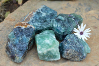 Natural Stone Sealed Watermelon Fluorite Cobbed Pieces  x 5 From Uis, Namibia - TopRock