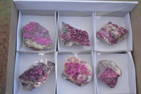 Natural Pink Salrose Cobaltion Dolomite Specimens  x 6 From Kakanda, Congo - Toprock Gemstones and Minerals 