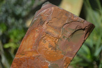 Natural Sliced Tigers Eye Specimen x 1 From Prieska, South Africa - Toprock Gemstones and Minerals 