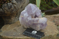 Natural Jacaranda Amethyst Cluster x 1 From Mumbwa, Zambia - TopRock