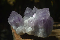 Natural Jacaranda Amethyst Clusters x 2 From Mumbwa, Zambia - TopRock