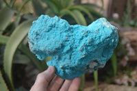 Natural Botryoidal Chrysocolla Specimens x 2 From Congo