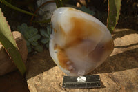 Polished Moralambo Dendrite Crystalline Agate Standing Free Form x 1 From Madagascar - Toprock Gemstones and Minerals 