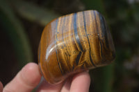 Polished Golden Tigers Eye Free Forms x 12 From Prieska, Northern Cape