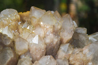 Natural Extra Large Cascading White Phantom Smokey Quartz Cluster x 1 From Luena, Congo