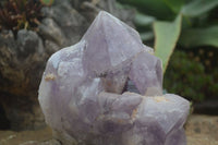 Natural Jacaranda Amethyst Cluster x 1 From Mumbwa, Zambia - TopRock