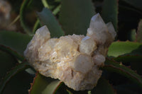 Natural Cascading Smokey Quartz Clusters x 2 From Luena, Congo