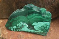 Polished Flower & Banded Malachite Slices  x 12 From Congo - Toprock Gemstones and Minerals 