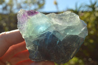 Natural Cobbed & Stone Sealed Watermelon Fluorite Pieces x 12 From Uis, Namibia - TopRock