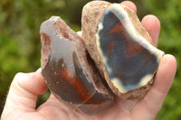 Polished Red Sashe River Agate Nodules x 6 From Sashe River, Zimbabwe - TopRock