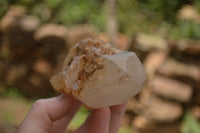 Natural Single White Quartz Crystals  x 12 From Madagascar - TopRock