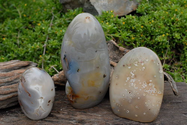 Polished Moralambo Agate Standing Free Form x 3 From Madagascar - TopRock