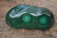 Polished Malachite Free Forms x 3 From Kolwezi, Congo