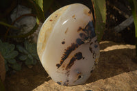 Polished Moralambo Dendrite Crystalline Agate Standing Free Form x 1 From Madagascar - Toprock Gemstones and Minerals 