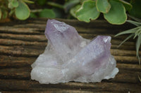 Natural Jacaranda Amethyst Clusters  x 3 From Mumbwa, Zambia - Toprock Gemstones and Minerals 