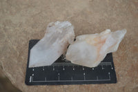 Natural Large Pineapple Candle Quartz Crystals  x 24 From Madagascar - Toprock Gemstones and Minerals 