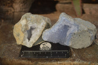 Natural Blue Lace Agate Geode Specimens  x 12 From Nsanje, Malawi