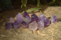 Polished Window Amethyst Points  x 12 From Ankazobe, Madagascar