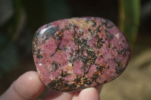 Polished Rhodonite Galet / Palm Stones x 12 From Zimbabwe