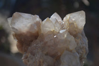 Natural Cascading Smokey Quartz Clusters x 2 From Luena, Congo