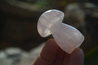 Polished Gemmy Rose Quartz Mushrooms x 12 From Ambatondrazaka, Madagascar