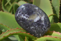 Polished Purple Lepidolite Standing Free Forms  x 3 From Zimbabwe