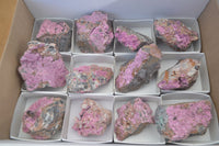 Natural Salrose Cobaltion Dolomite Specimens x 12 From Kakanda, Congo