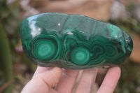 Polished Malachite Free Forms x 3 From Kolwezi, Congo