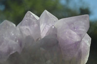 Natural Jacaranda Amethyst Clusters x 2 From Mumbwa, Zambia - TopRock