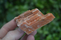 Natural New Sunset Orange Calcite Specimens  x 24 From Spitzkop, Namibia - Toprock Gemstones and Minerals 