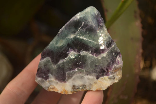 Polished  One Side Polished Watermelon Fluorite Pieces  x 10 From Uis, Namibia