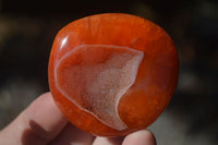 Polished Carnelian Agate Palm Stones  x 12 From Madagascar - Toprock Gemstones and Minerals 