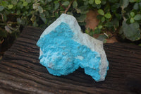 Natural Botryoidal Chrysocolla Specimens x 2 From Congo