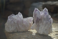 Natural Sugar Amethyst Clusters x 4 From Solwezi, Zambia