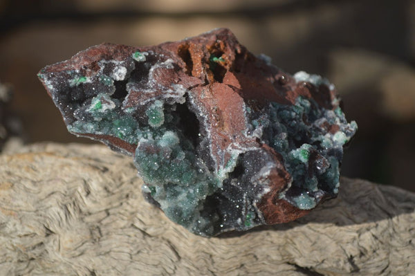 Natural Drusy Coated Ball Malachite On Dolomite Specimens x 2 From Likasi, Congo