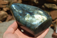 Polished Labradorite Standing Free Forms With Intense Blue & Gold Flash x 2 From Sakoany, Madagascar - TopRock