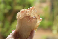 Natural Mixed Selection Of Quartz Specimens  x 3 From Southern Africa - TopRock