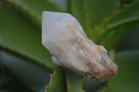 Natural Large Pineapple Candle Quartz Crystals  x 12 From Antsirabe, Madagascar - Toprock Gemstones and Minerals 