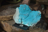 Natural Botryoidal Chrysocolla Specimens x 2 From Congo