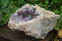 Natural Jacaranda Amethyst Cluster x 1 From Mumbwa, Zambia