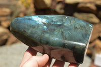 Polished Labradorite Standing Free Forms With Intense Blue & Gold Flash x 2 From Sakoany, Madagascar - TopRock