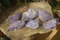 Natural Rough Stichtite & Serpentine Specimens x 6 From Barberton, South Africa