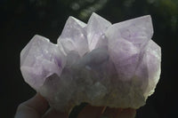 Natural Jacaranda Amethyst Clusters x 2 From Mumbwa, Zambia - TopRock