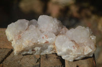 Natural White Cactus Flower Spirit Quartz Specimens  x 2 From Boekenhouthoek, South Africa - Toprock Gemstones and Minerals 