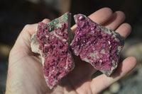 Natural Pink Salrose Cobaltion Dolomite Specimens  x 6 From Kakanda, Congo - Toprock Gemstones and Minerals 