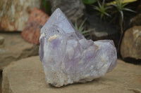 Natural Jacaranda Amethyst Cluster x 1 From Mumbwa, Zambia - TopRock