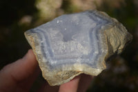 Natural Blue Lace Agate Geode Specimens  x 6 From Nsanje, Malawi