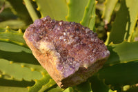 Natural Dark "Amethystos" Amethyst Plates  x 12 From Kwaggafontein, South Africa - TopRock