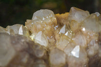 Natural Extra Large Cascading White Phantom Smokey Quartz Cluster x 1 From Luena, Congo